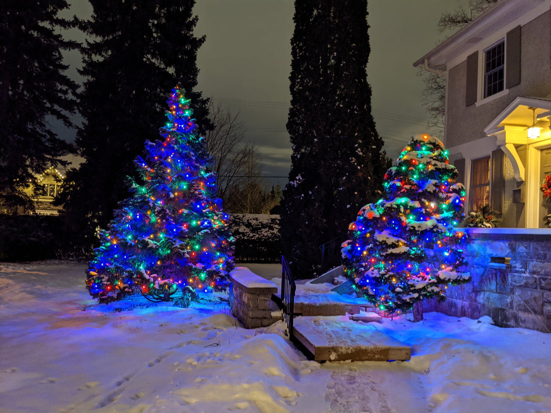 Top 5 Must have Christmas light supplies for Canadian winters - Lumino
