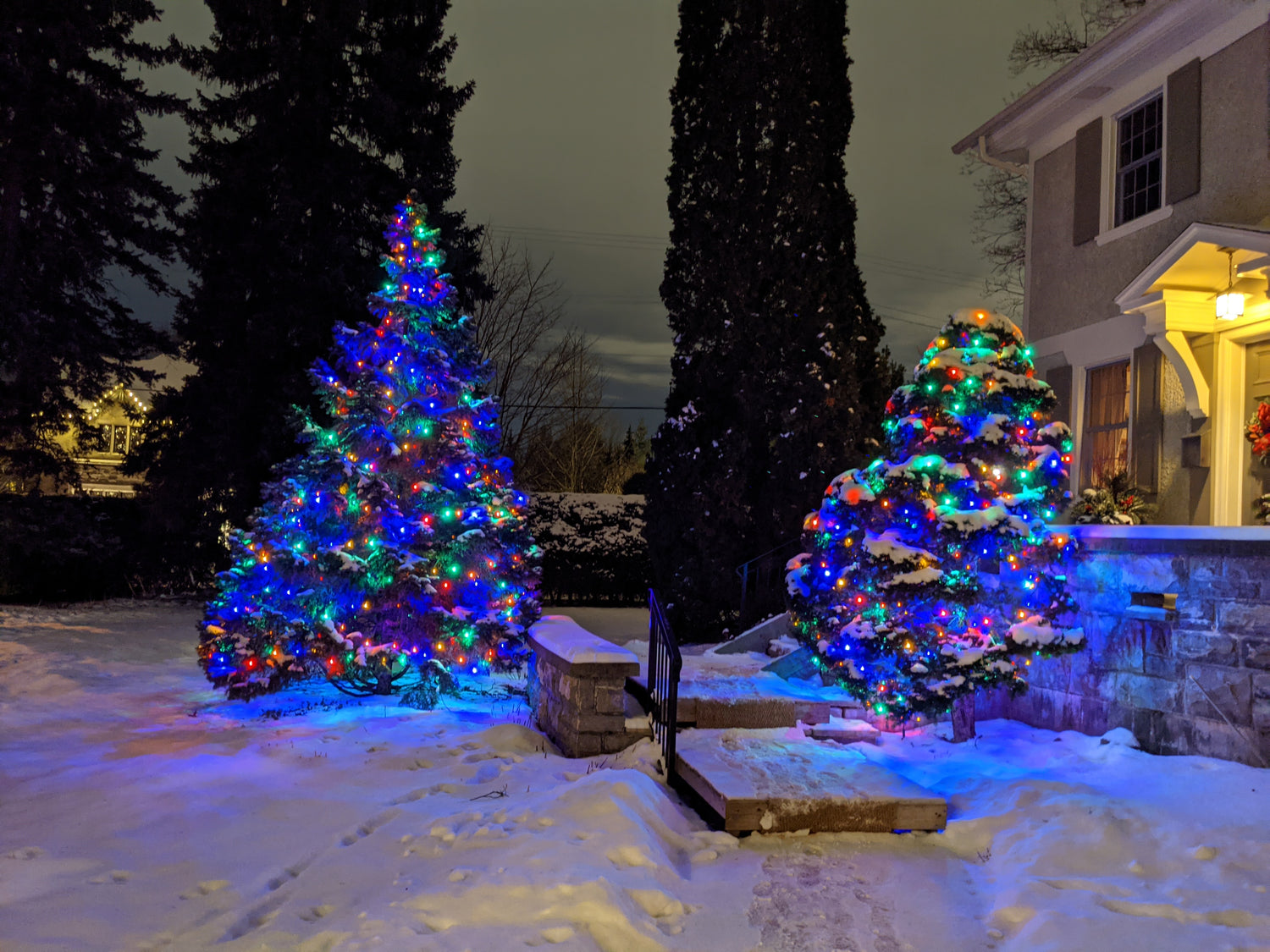 2 trees decorated with Canadian LED 5mm string lights. Commercial grade.